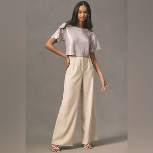 Anthropologie Sequin Cropped Tee (Size M) (NEW with tags).